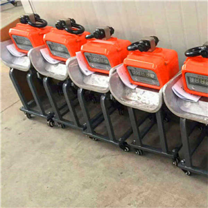 武漢耐*溫電子吊鉤秤廠家