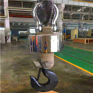 福安市10噸無(wú)線打印電子吊磅