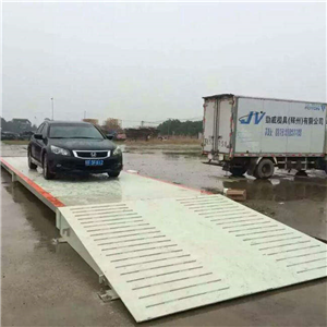 雨花區(qū)100噸大型電子地磅供應(yīng)商