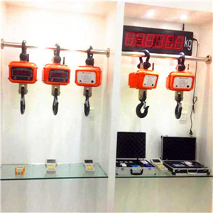 上海東南吊秤廠家報價