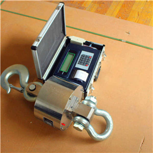 上海頓科電子吊秤廠家