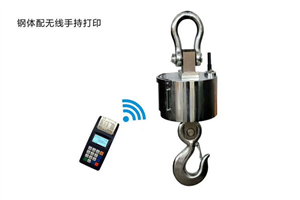 煙臺(tái)20噸塔吊秤