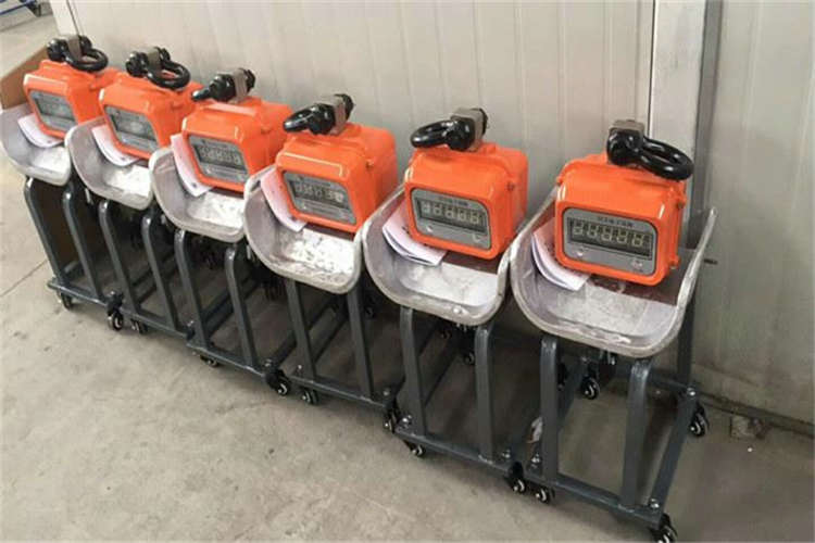 數(shù)顯電子吊秤出現(xiàn)故障快速解決辦法