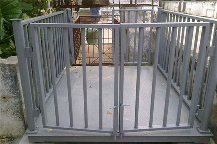 重慶畜牧地磅秤